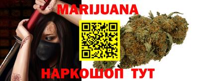 ALPHA PVP Пугачёв