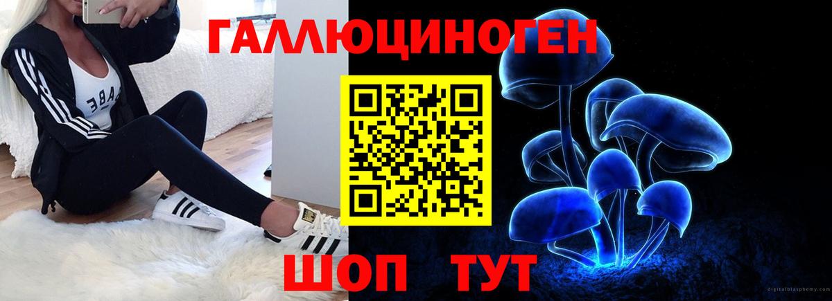 Тосно  Галлюциногенные грибы ЛСД  Вход с VPN 