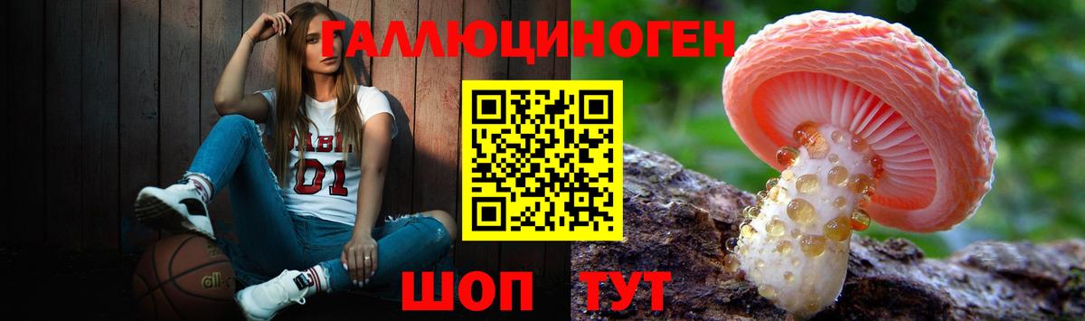Галлюциногенные грибы Cubensis Тосно